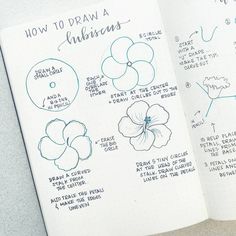 an open notebook with instructions on how to draw flowers