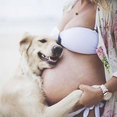 a pregnant woman holding a dog in her belly with the caption, eu tambiem vo amalo asim como amo voca