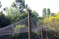 a fenced in area with trees and mesh covering the enclosures for animals to use