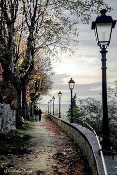 a street light sitting on the side of a road next to a tree filled sidewalk