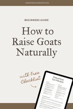 Beginners Guide to Raising Goats Naturally (with Free Checklist) Free Checklist, Improve Digestion, Holistic Approach, Beginners Guide