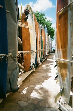 many surfboards are lined up on the beach