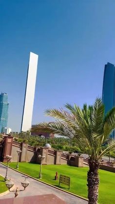 a palm tree sitting in the middle of a lush green park next to tall buildings