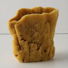 a cookie cup sitting on top of a white counter