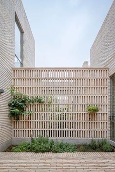 an outdoor courtyard with brick walls and plants growing on the wall, surrounded by bricks