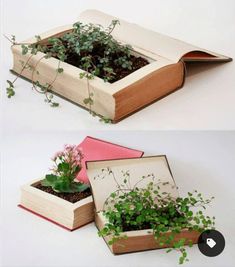 an open book with plants growing out of it