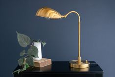 a table with a plant and a lamp on it, against a blue wall background