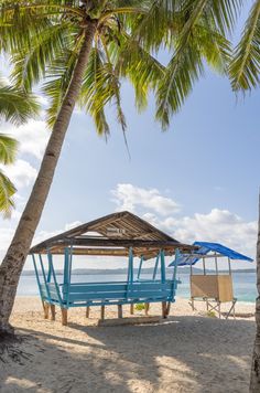 a blue bench under a palm tree on the beach