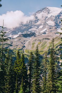 the mountain is covered in snow and surrounded by pine trees