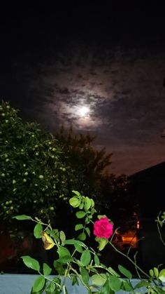 a full moon is seen in the night sky over some trees and bushes with pink flowers