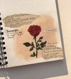 a red rose is sitting on top of a piece of paper with words written in it