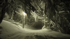 a snow covered path in the middle of a forest with trees on both sides and light at the end