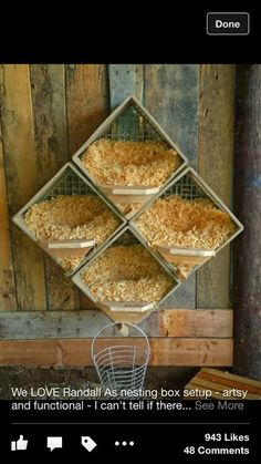 four pans filled with food hanging from the side of a wooden wall next to a wire basket