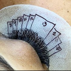 Hybrid Lash Map, Lash Brand, Eyelash Extensions Salons, Lash Map, False Eyelash Remover, Lash Lounge, Lashes Fake Eyelashes, Eyelash Tips, Eyelash Extensions Styles