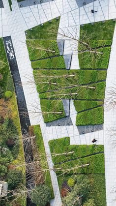 an aerial view of a park with many trees and grass growing on the walkways