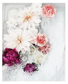 some flowers are sitting in the water and one is pink, white and purple with red centers