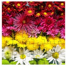 a jigsaw puzzle with colorful flowers in the middle and white daisies at the bottom