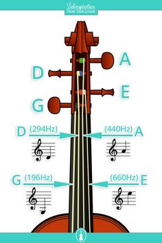 an image of a violin labelled with all the parts labeled in this diagram, which includes notes and symbols