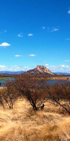 there is a mountain in the distance with trees and bushes around it, along with blue water