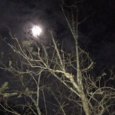 the moon shines brightly in the dark night sky above some bare trees and branches