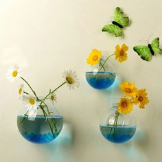 three vases filled with water and daisies on top of a white wall next to butterflies