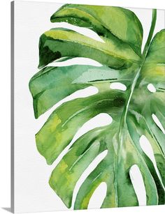 a watercolor painting of a green leaf