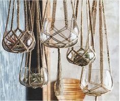 several hanging glass vases with plants in them