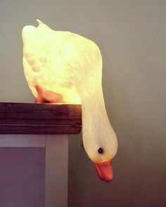 a duck lamp sitting on top of a wooden shelf