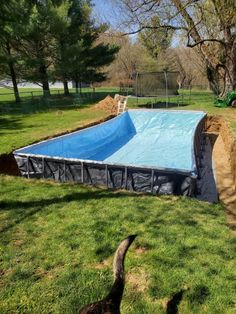 an empty swimming pool in the middle of a yard with a dog standing next to it