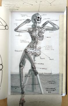 an open book with a drawing of a human skeleton