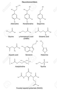 the structure and formulas of neutranamiter