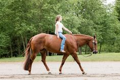 Western Pleasure Outfit, Ellie Rose, Nice Sunset, Dream Horse Barns, Getting Dumped, Western Pleasure, Western Riding