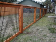 a dog is standing in front of a fenced off area with grass on the ground