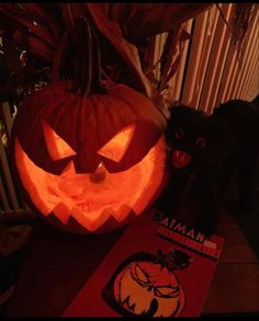 a black cat sitting next to a carved pumpkin