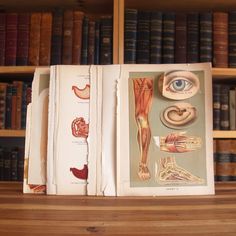 an open book with pictures of muscles and bones on top of a wooden table in front of bookshelves