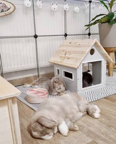 two cats laying on the floor in front of a house shaped like a cat house