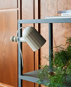 a potted plant is sitting on a shelf next to a lamp and bookshelf