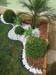 a small garden with rocks and plants in it