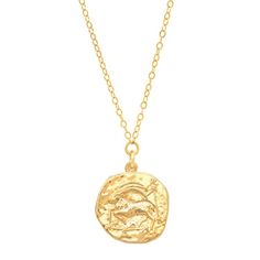 Perfect zodiac necklaces makes a lovely, personalized gift this season.  Casted from a vintage coin, for that heirloom nostalgic feel.  Capricorn (The Goat - Dec 22 - Jan 19) gold plated brass/gold filled chain or sterling silver/sterling silver chain finish: high polish Spring ring clasp closure cable chain product me Capricorn Necklace, Zodiac Birthdays, Zodiac Pendant, The Goat, Zodiac Necklaces, Vermeil Jewelry, Solid Gold Jewelry, Brass Gold, Brass Earrings