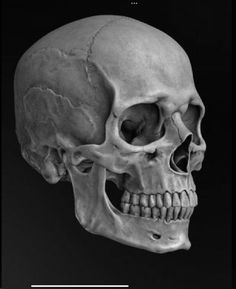 an image of a human skull with the caption that says, what is it?