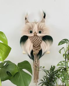 an owl mask hanging on the wall next to plants