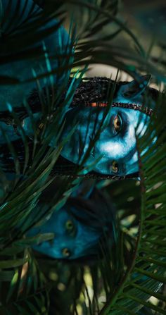 two blue fish are in the branches of a pine tree, one is looking at the camera