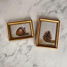 two framed pictures of pine cones and a acorn on a marble countertop with gold trim