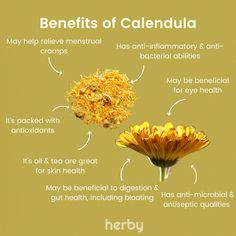 the benefits of calendula for health and beauty care info poster with description on it