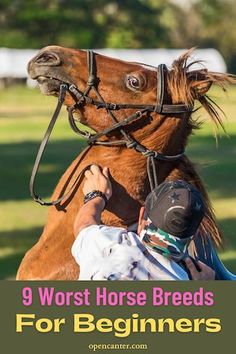 a man is petting a horse with the words, 9 worst horse breeds for beginners