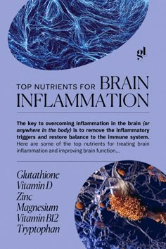 Brain Inflammation, Immune Cells, Inflammation Causes, Health Heal, Makanan Diet, Healthy Brain, Brain Food, Alternative Health