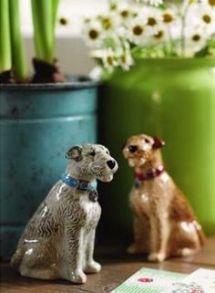 two small dogs sitting next to each other on a wooden table with flowers in the background