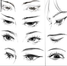 various types of eyes with different angles and shapes on the front, side, and back