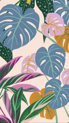 an image of tropical leaves on a pink background