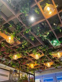 the ceiling is covered with plants and hanging lights